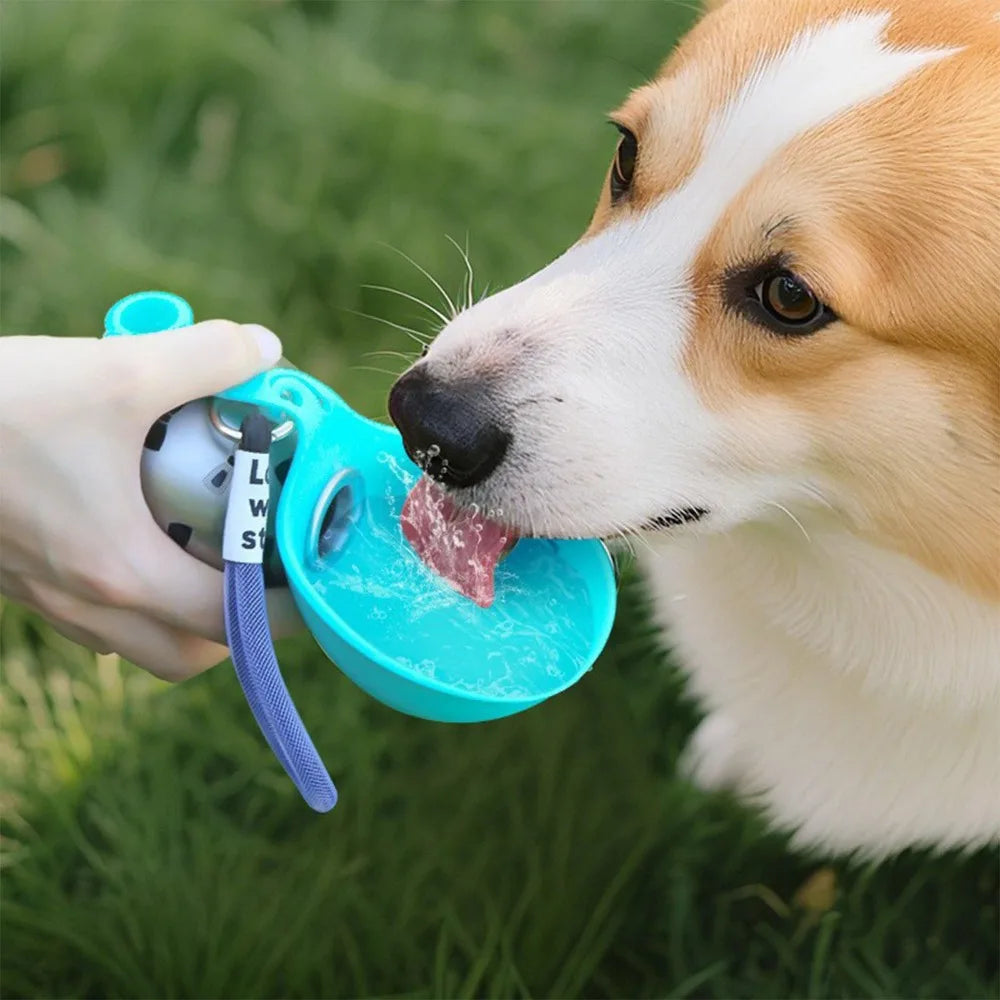 Portable Pet Hydration Kit